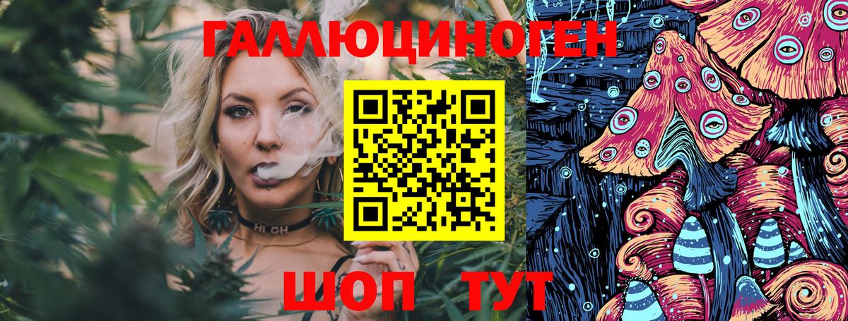 Галлюциногенные грибы Psilocybe Троицк