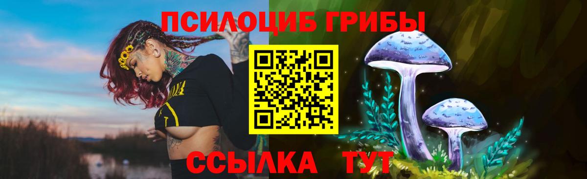 Галлюциногенные грибы ЛСД  Галлюциногенные грибы ЛСД  Троицк  Вход с VPN 